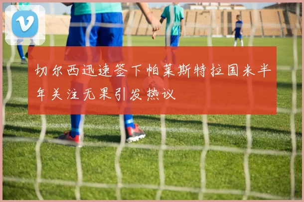 切尔西迅速签下帕莱斯特拉国米半年关注无果引发热议