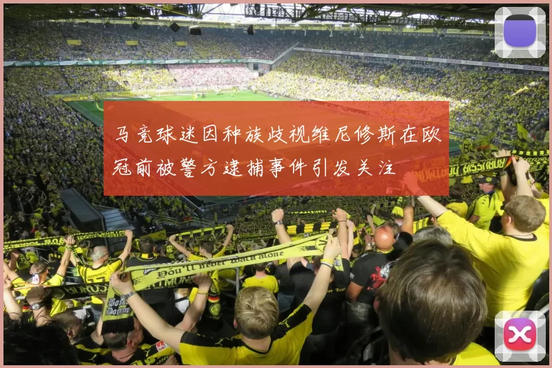 马竞球迷因种族歧视维尼修斯在欧冠前被警方逮捕事件引发关注