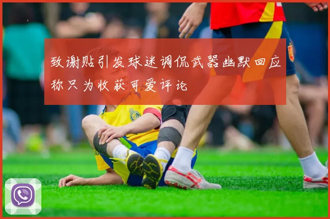 致谢贴引发球迷调侃武器幽默回应称只为收获可爱评论